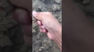 The most satisfying dry sand you’ve ever seen!!!!