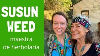 SUSUN WEED | una entrevista con mi maestra de herbolaria