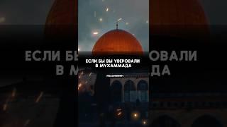 Помогите Палестинцам, Дуа за Палестинцев #напоминание  #freepalestine