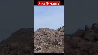 Я на 8-Марта #кыргызстан