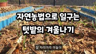 47.자연농법으로 짓는 텃밭의 겨울준비, 겨울나기