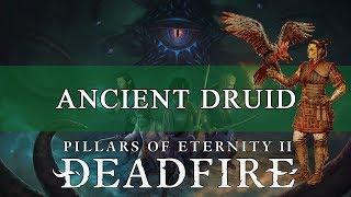 Pillars Of Eternity 2 Build Guide: Ancient Terror