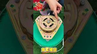 #vegetable shredder #agriculture#ChickenDuckGoosebreeding#Stainless steel #viralvideo