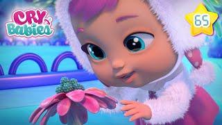 A Flower from Another Planet   CRY BABIES  Magic Tears | Cartoons for Kids