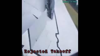 Rejected Takeoff Due Bird Strike | shorts