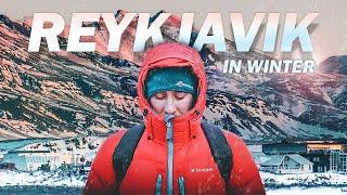 REYKJAVIK ICELAND - FREE THINGS To See + Whale Watching in December  (Winter Travel)