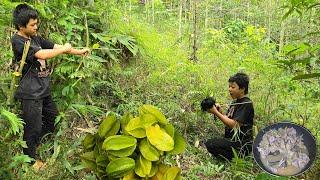 The orphan boy went into the forest to hunt and pick star fruit, and improve the land to grow melons