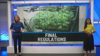 Final regulations in place for adult-use cannabis market