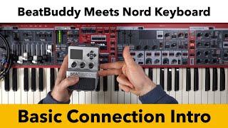 BeatBuddy Drum Machine Basic Connection to Nord Keyboards