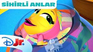 Beledeiye Başkanının İşleri | Köpişçiler | Disney Kids Türkiye