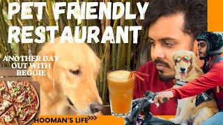 Pet Friendly Restaurant || Day Out With Reggie || Golden Retriever