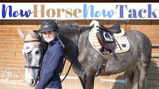 New Horse, New Tack! AD | This Esme