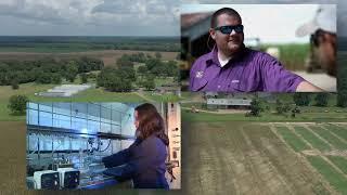 LSU AgCenter: 50 Years of Excellence in Agriculture