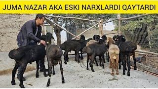 ESKI NARXLAR QAYTI JUMA NAZAR AKA NARXLARDI TUSHURDI