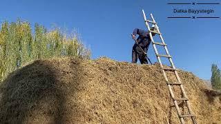 Daily routine in a Kyrgyz village.