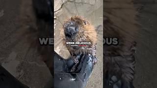 Joe Rogan on Eating Beaver Meat