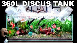 360L Fully Planted Discus Aquarium (EPIC Aquascape Tutorial)