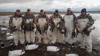 Hunting Pintails, Mallards and Wigeon on a Greasy Sheet Water Hole!!