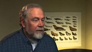 Pieter Folkens | Historical Perspectives Interview Excerpt | Aquatic Mammals