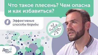 Что такое плесень? Как избавиться от плесени? Чем опасна плесень? | Плесень в квартире