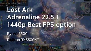 Lost Ark | RX6600XT 1440p Best FPS option | 로아 설정