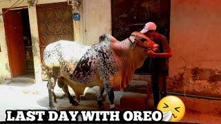 CHAND RAT K MAZAYLAST DAY WITH OREO