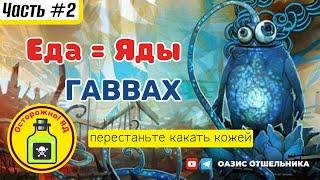 ЕДА=ЯДЫ. Автономия/ праноедение. Подробнее в описании ниже. ОАЗИС ОТШЕЛЬНИКА