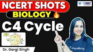 NCERT Shots Biology | C4 Cycle | NEET 2024 | Gargi Singh