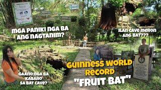 Monfort Bat Sanctuary: Largest Colony of Bats (Guinness Record) Samal Island, Davao del Norte