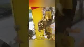 خدعة المال الذكية ! #shorts