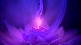 Violet Flame 528hz  Love Frequency Miracle Tone - Transmute Negative Energy - Reiki Music - 12hr