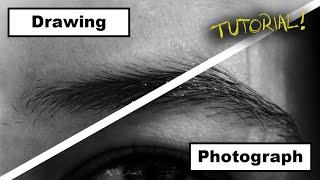 How to Draw a Hyper Realistic Eyebrow! EASY Step-by-Step