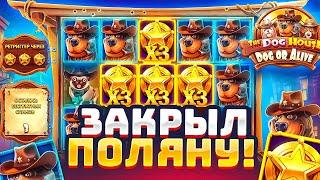 Я ДОЖАЛ THE DOG HOUSE DOG OR ALIVE / КУПИЛ БОНУС ALL IN И ПОДНЯЛ 8.000.000Р / ЛУЧШАЯ СЕССИЯ!