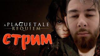 СЕРЁГА ИГРАЕТ  В | PLAGUE TALE   |ЛАЙКАЕМ|  #прохождение #стрим #plaguetale #aplaguetale