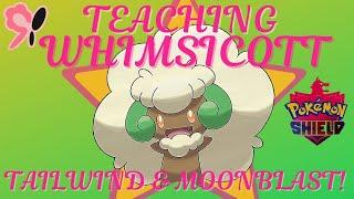 How to Teach Whimsicott Tailwind and Moonblast - Pokemon Shield