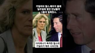 찰스.카밀라의 밀회장소.배우자몰래 몇번만났을까.