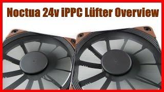 Noctua iPPC 24V Lüfter Overview