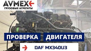 Проверка двигателя MX340U3 на DAF XF105