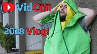 SystemFreez in Cali! - Vidcon 2018 Vlog