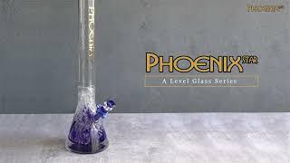 Phoenix Star 18 Inch Beaker Bong PHX605