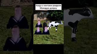 #колхоз #mellstroy #доярка