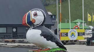 Heimaey  Westman Islands