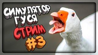 ГУСЬ НА ТРОПЕ ВОЙНЫ! СИМУЛЯТОР ГУСЯ!  Untitled Goose Game #3