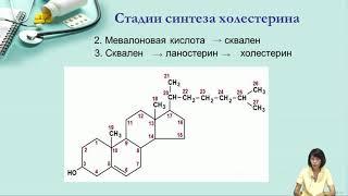 Лекция 7. Обмен холестерина и кетоновых тел