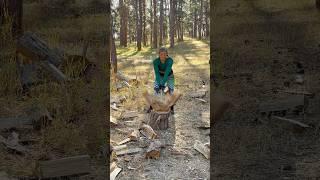Don’t stand a chance  #woodchop #woodchopping #woodsplitting #axe #girlhood #shorts #aspen
