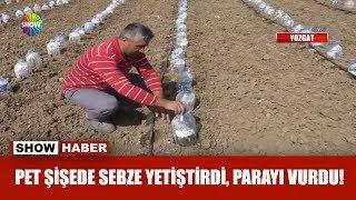 Pet şişede sebze yetiştirdi, parayı vurdu!