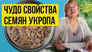 На что способна всего одна ложка СЕМЯН УКРОПА