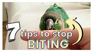 7 TIPS ON HOW TO STOP YOUR BIRD FROM BITING | Why Your Bird Bites You and How to Avoid Getting Bit