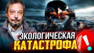 КАТАСТРОФА в Керченском проливе: Причины и ПОСЛЕДСТВИЯ. Что СКРЫВАЮТ власти?