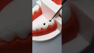 Goodlukii Smart appliances, Home cleaning Inventions for the kitchen Makeup,Beauty #shorts